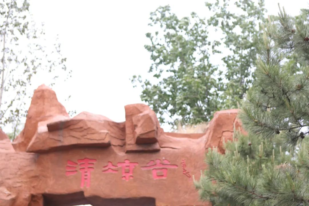 立足当“夏”,觅清凉 | 社科赛斯考研“清凉谷”团建之旅!
